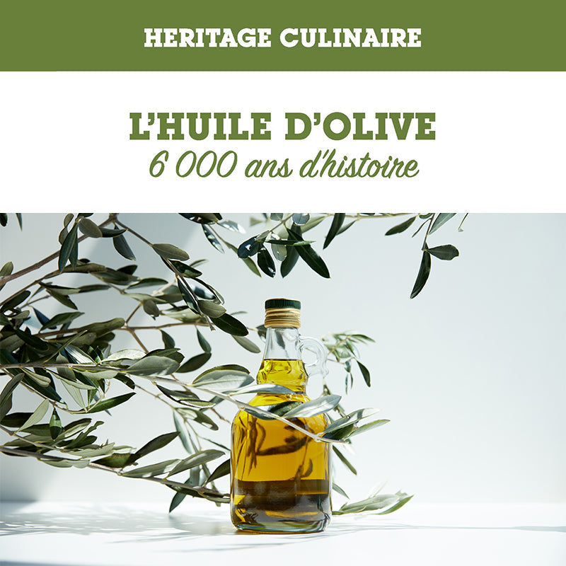 Olive Oil: Lebanon’s Liquid Gold, 6000 years of history
